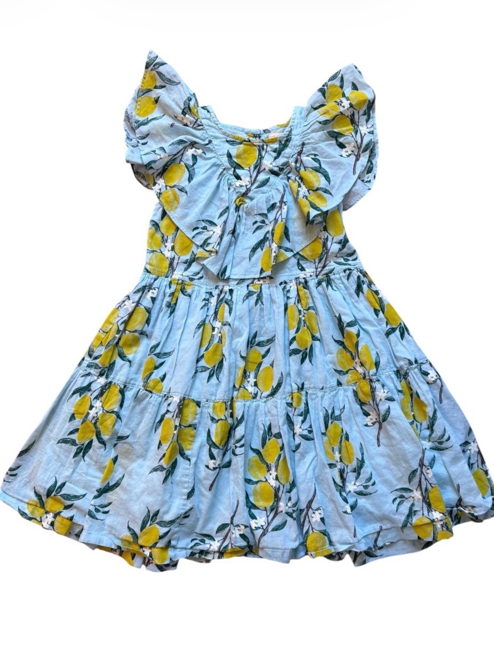 Pink Chicken | Lemon Branch Raphaela Dress | Ruffle | Tiered | Cotton - Picture 2 of 11